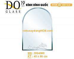 guong-nha-ve-sinh-gia-re-dinh-quoc-dq-4569