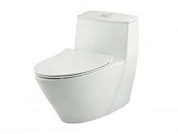 bon-cau-1-khoi-inax-ac-919vrn-aqua-ceramic