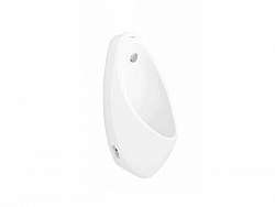 chau-tieu-nam-treo-tuong-viglacera-t1