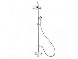 sen-cay-tam-nong-lanh-nhap-khau-cotto-thailand-ct2149ws