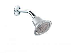 dau-sen-phun-mua-gan-tuong-moen-124326