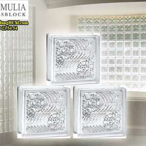 gach-kinh-indonesia-hoa-van-bot-bien-mulia-glass-block