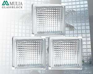 gach-kinh-lay-sang-indonesia-hoa-van-soc-dua-mulia-glass-block