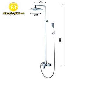 sen-cay-tam-dung-gia-re-caesar-s648c