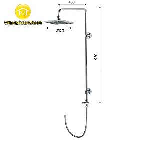 sen-cay-tam-dung-caesar-bs124