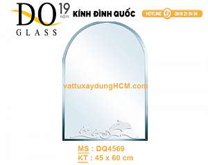 guong-nha-ve-sinh-gia-re-dinh-quoc-dq-4569