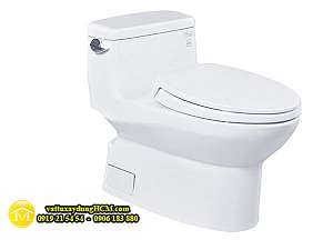 ban-cau-1-khoi-cao-cap-toto-ms884t2