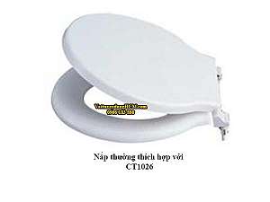 nap-nhua-dung-cho-bon-cau-caesar-ct1026