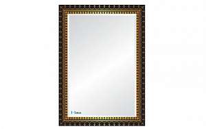 guong-treo-tuong-2-lop-hoa-tiet-hoa-binh-hbs2-758