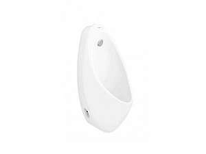 chau-tieu-nam-treo-tuong-viglacera-t1