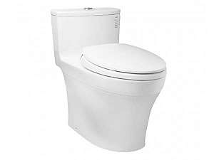 ban-cau-mot-khoi-xa-nhan-toto-ms885dt2-nap-tc393vs