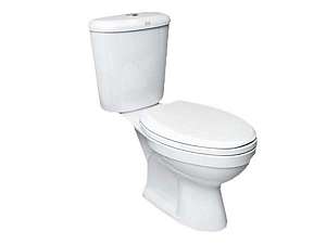 bon-cau-hai-khoi-american-xa-nhan-vf-2396