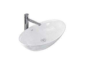 bon-lavabo-rua-mat-hinh-ovan-dat-ban-american-wp-f608