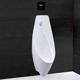 bon-tieu-nam-treo-tuong-co-lon-caesar-u0266