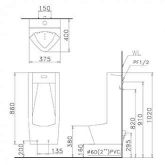 be-tieu-nam-cam-ung-treo-tuong-caesar-ua0283