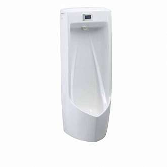 be-tieu-nam-cam-ung-treo-tuong-caesar-ua0283