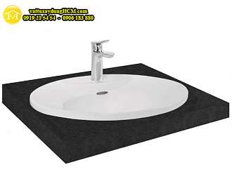 chau-lavabo-rua-mat-dat-duong-vanh-toto-l909c
