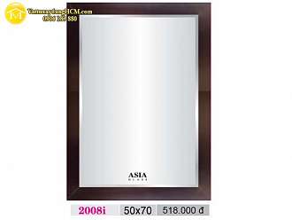 guong-soi-khung-nhua-go-chong-nuoc-asia-2008i