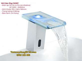 voi-lavabo-cam-ung-cao-cap-smartliving-ym107