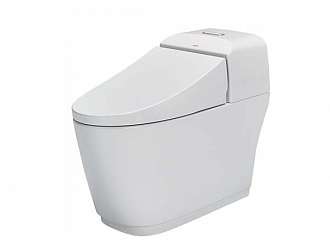 bon-cau-1-khoi-cao-cap-inax-ac-1032vn