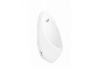 chau-tieu-nam-treo-tuong-viglacera-t1