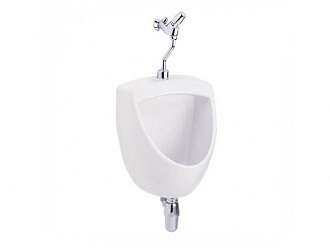 chau-tieu-nam-treo-tuong-cotto-c3080